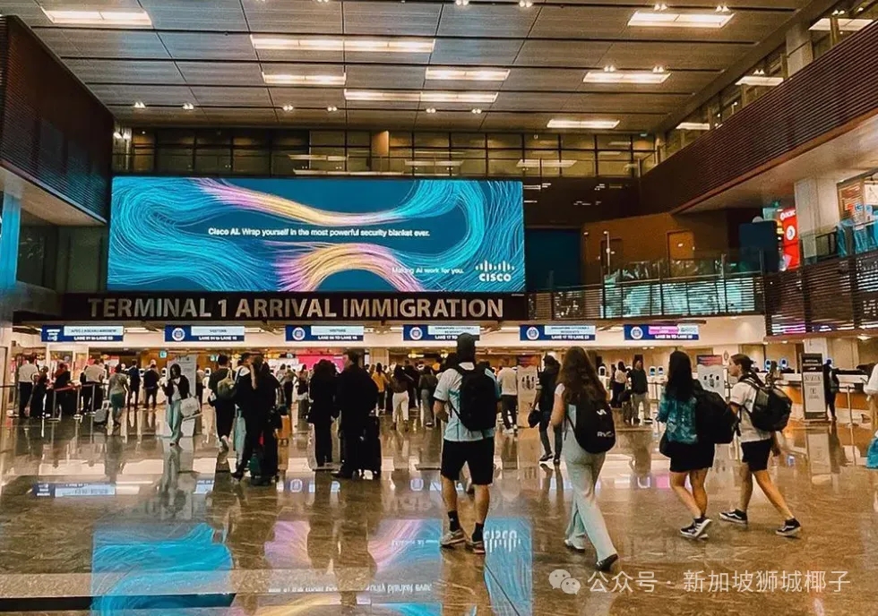 怒罚20万新币！入境新加坡最新规定：带这些东西都要交税、申报