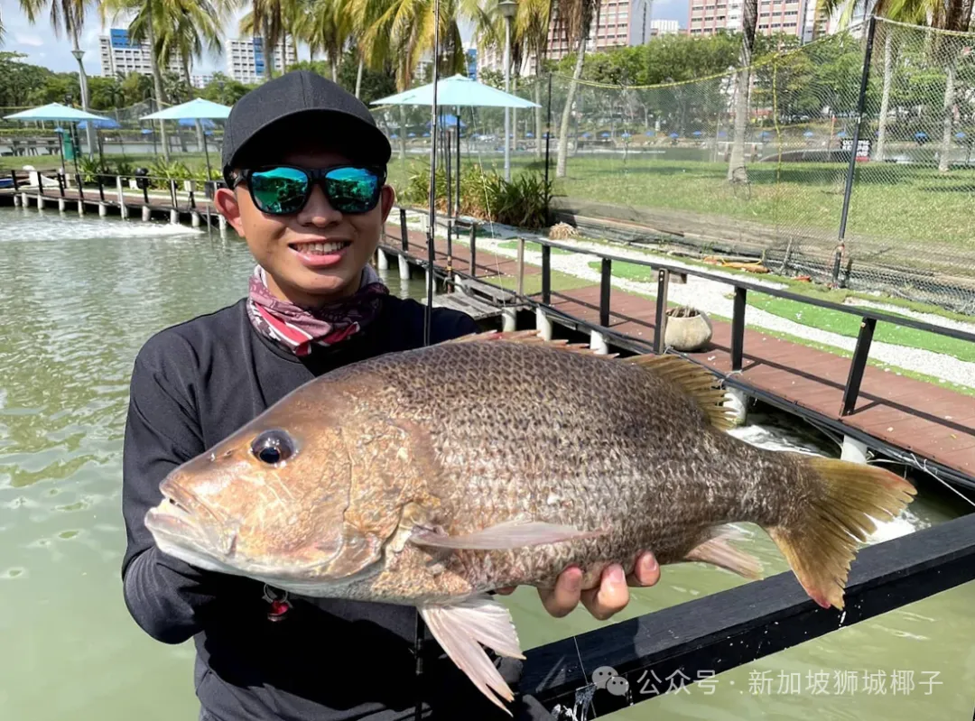 新加坡巴西立玩疯了！10个活动爽嗨！骑马划船钓鱼都搞定