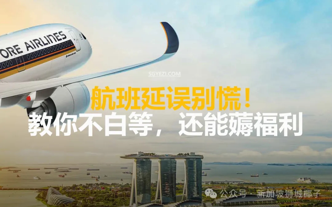 千万别傻等！新加坡航班延误时，你一定要争取的7项权益