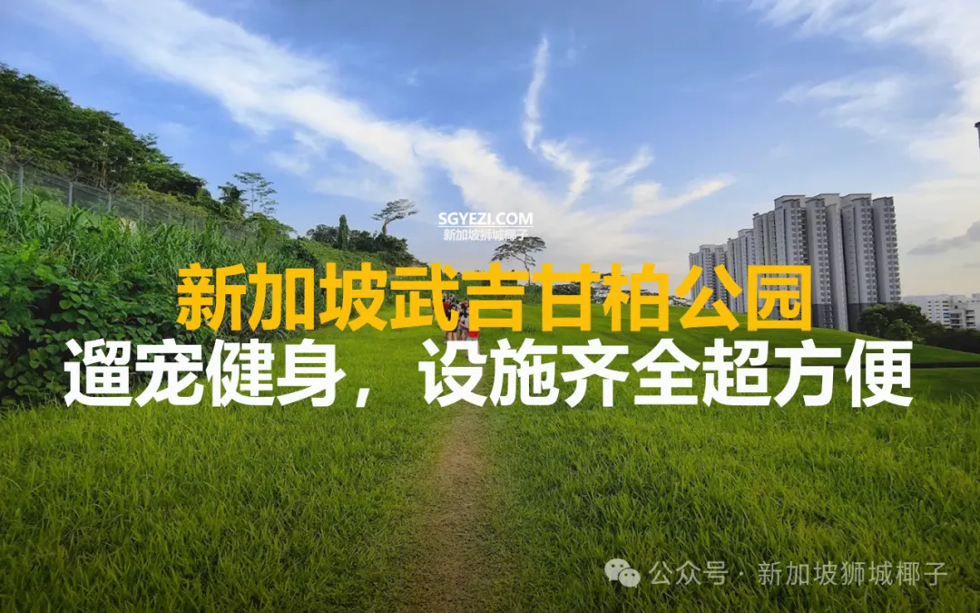 新加坡西部住宅区有个新公园！遛娃遛宠物都合适~