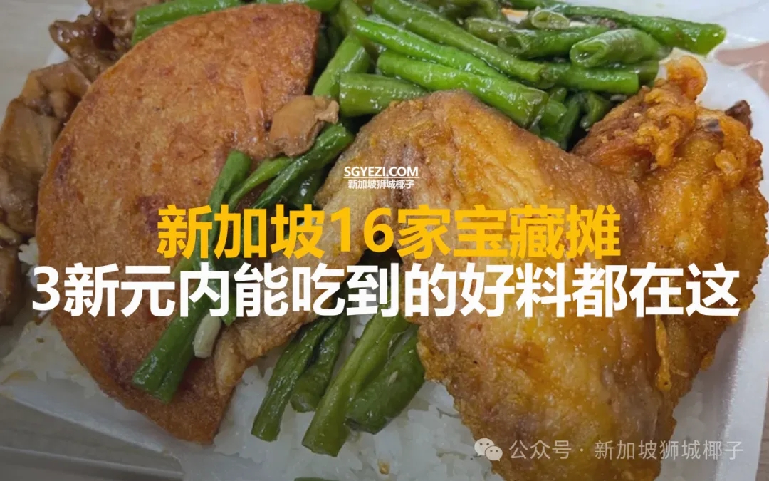 新加坡16家宝藏摊，3新元内能吃到的好料都在这