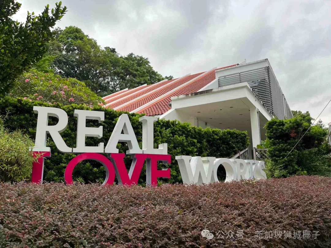 新加坡结婚人数创5年新低！比疫情时还惨淡！政府狂撒70亿新币“催婚催生”也没用？！