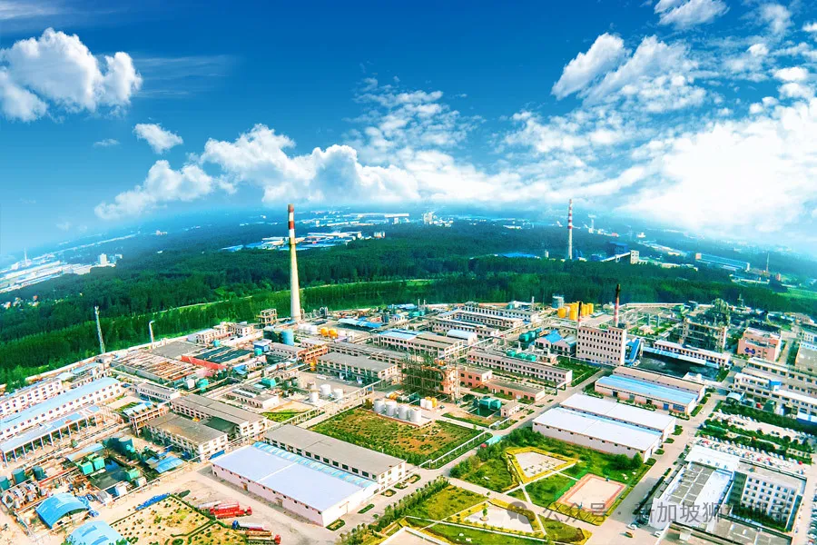 这5只新加坡股票正悄悄做对三件事：赚钱、抗跌、持续分红