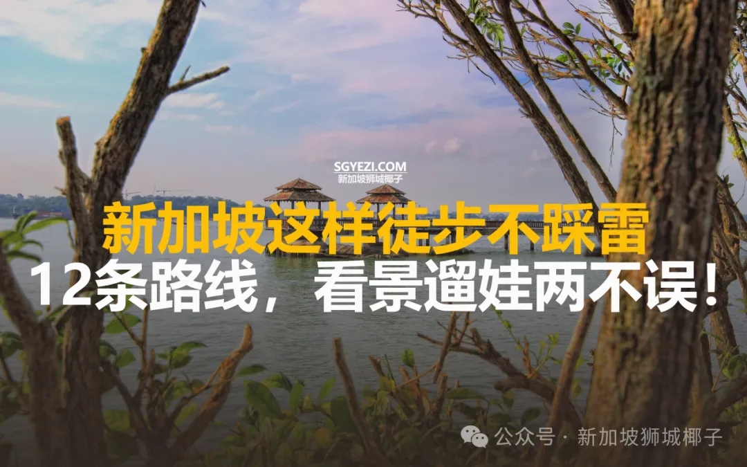 必打卡！新加坡12条绝美徒步步道！新手爱好者、老司机都有合适路线~