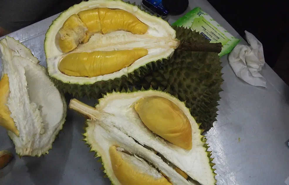 榴莲季到了！新加坡这12家榴莲店，本地人都推荐~