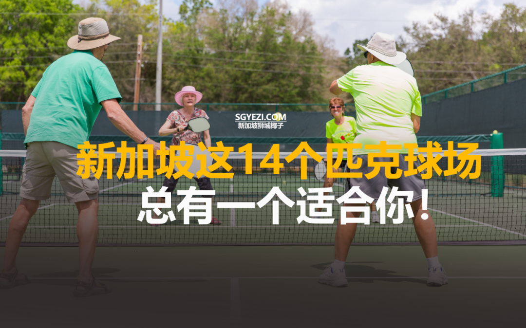 新加坡这14个匹克球场，太爽了！