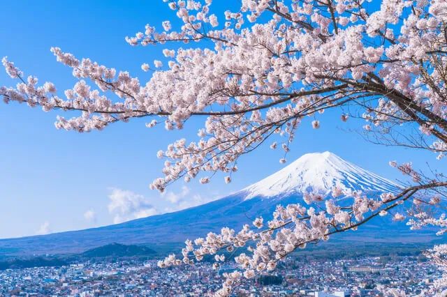 日本旅游】50 件在日本必做的事！ | tsunagu Japan