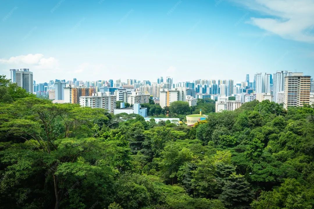 Premium Photo | Singapore city skyline and view of skyscrapers on ...